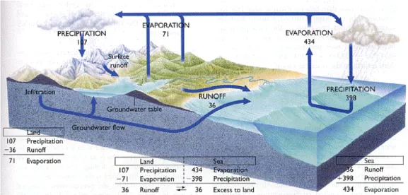 Gambar II.3 Daur hidrologi (Sumber : Distamben, 2005)