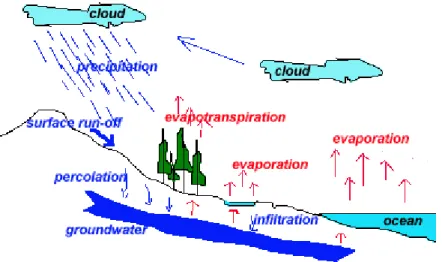 Gambar 2.16 : Siklus Hidrologi 