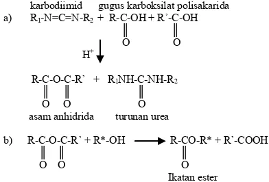 Gambar 3. Skema Reaksi WSC dengan Molekul