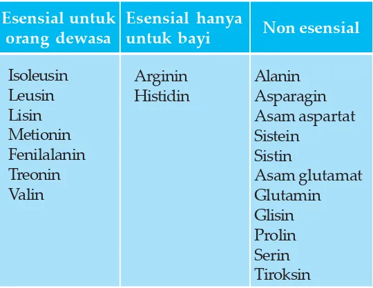 Tabel 6.1 Asam amino esensial dan non esensial