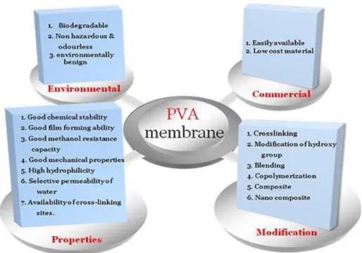 Gambar 2.6. Multi facets of PVA membrane (Maiti et al. 2012) 