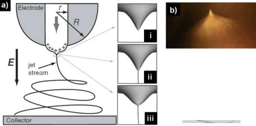 Gambar 2.2. (a) Ilustrasi aliran jet (jet stream) dan taylor cone pada ujung jarum; 