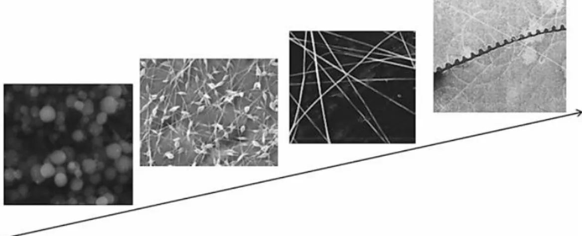 Gambar 2.4. Hasil evolusi nanofiber dengan konsentrasi rendah ke tinggi (Li &amp; 
