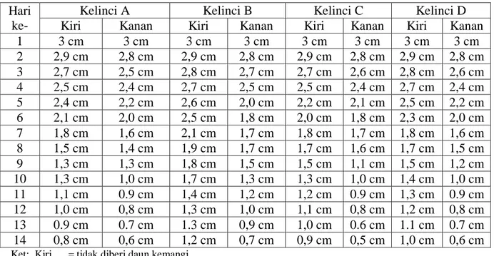 Tabel 1. Perbandingan Panjang Luka Pada  Punggung Kelinci  Hari 