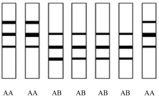 Tabel 1. Frekuensi Gen Hemoglobin (Hb) Darah pada 3 Jenis Ayam Kedu  
