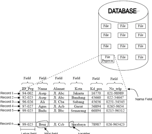 Gambar 2.9. Komponen Basis Data 