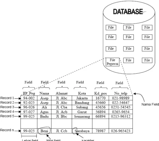Gambar 2.9. Komponen Basis Data 