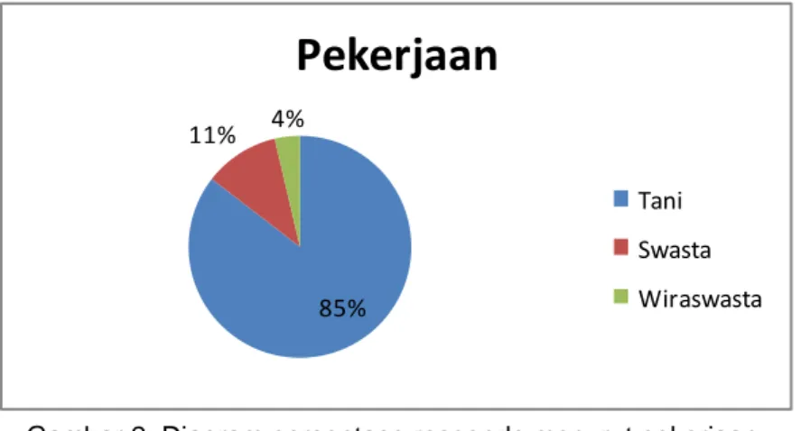 Gambar 2. Diagram persentase responde menurut pekerjaan. 