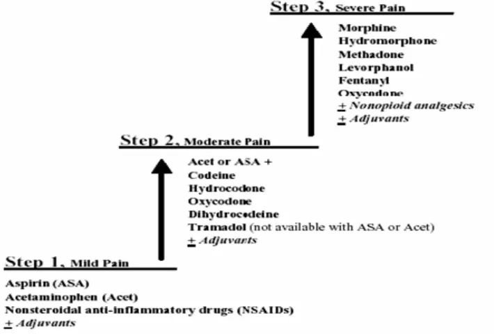 Gambar 1. Three steps analgesik ladder WHO 17