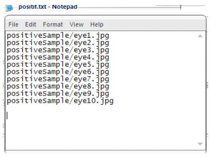 Gambar 3.11 Pencatatan nama file pada sampel positif 