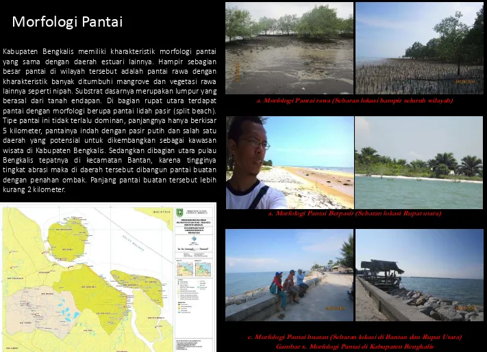 Gambar x. Morfologi Pantai di Kabupaten Bengkalis 