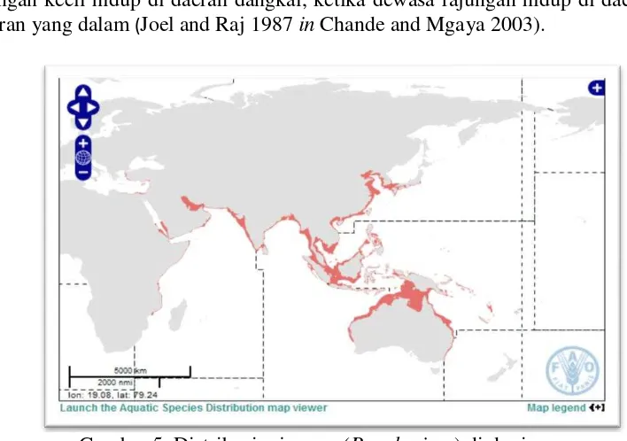 Gambar 5. Distribusi rajungan (P. pelagicus) di dunia 