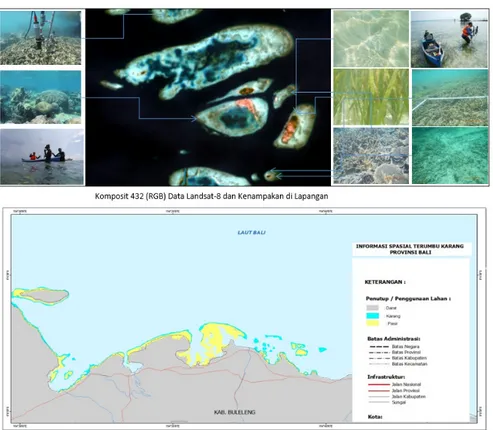 Gambar 16. Citra Komposit dan Kenampakan Obyek di Lapangan (atas) dan Hasil Updating  Informasi Terumbu Karang Pulau Bali 2011 (bawah)