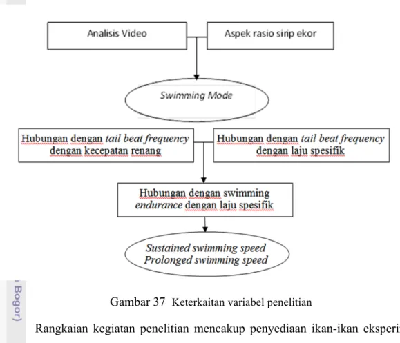 Gambar 37   Keterkaitan variabel penelitian 