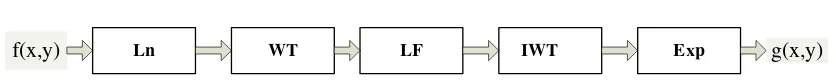 Figure 3.    Wavelet homomorphic filtering transform procedure 