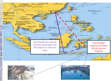 Gambar 5.3.  Latar Belak