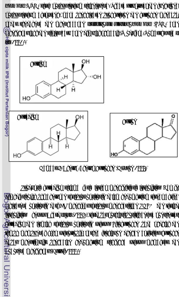 Gambar 3. Bentuk-bentuk Estrogen (Guyton 1996) Estriol 
