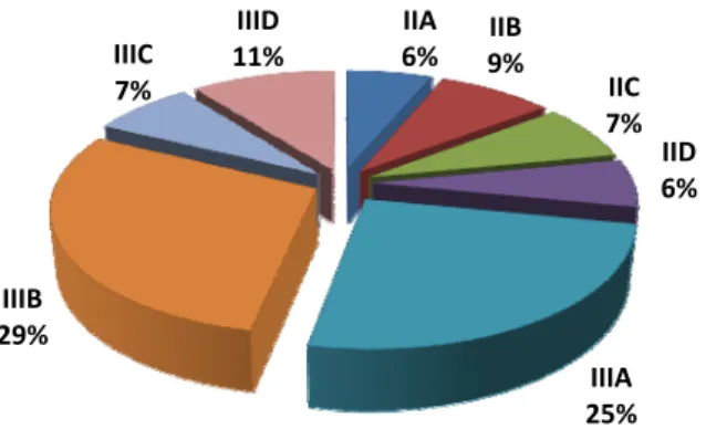 Gambar 12. Karakteristik responden berdasarkan golongan  kepegawaian  IIA 6% IIB 9% IIC 7% IID 6%IIIA25%IIIB29%IIIC7%IIID11%