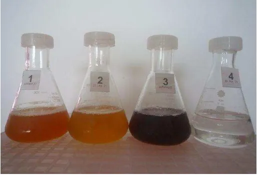Figure 1.  (2)AspergillusAspergillus dyes;(1)Aspergillussp. strain 2, sp. strain 1, (3)A