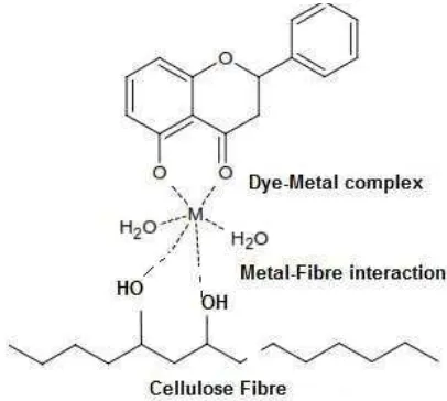 Figure 6.Schematic representation of dye-metal-cellulose fibre  interaction (from Kechi et al., 2013)