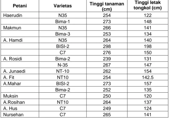 Tabel 1. Tinggi tanaman dan tinggi letak tongkol umur 70 HST dari beberapa varietas jagung  hibrida di Batuyang