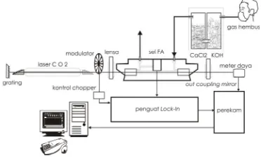 Gambar 1  Skema pengambilan dan pengukuran gas hembus pernafasan orang dengan SFA laser CO2