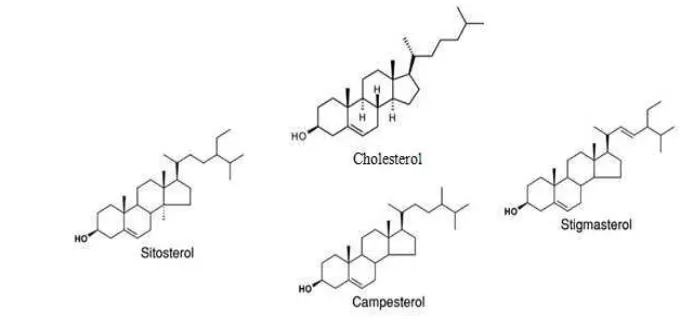 Figure 3. Chemical structures of cholesterol and plant sterols fitosterol  
