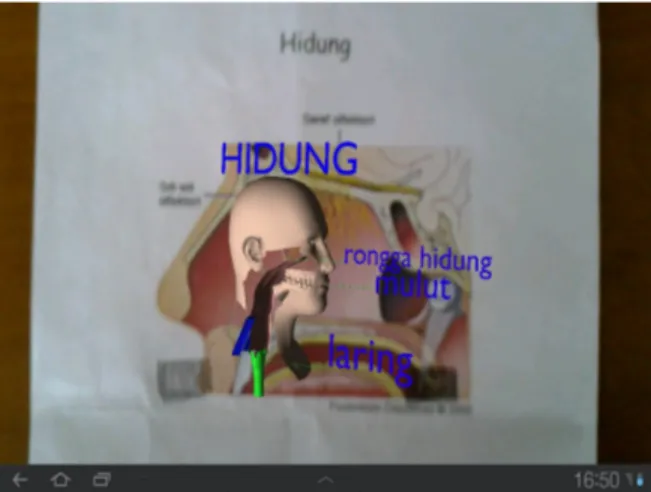 Gambar 4. Tampilan AR Organ Hidung 