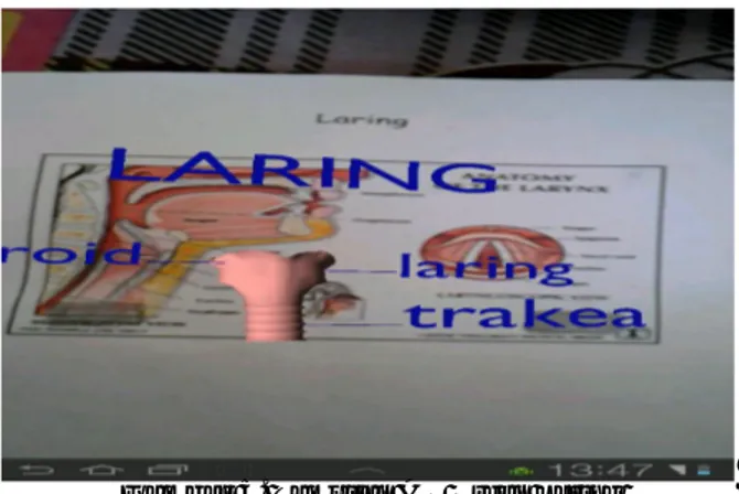 Gambar 5. Tampilan AR Organ Laring 