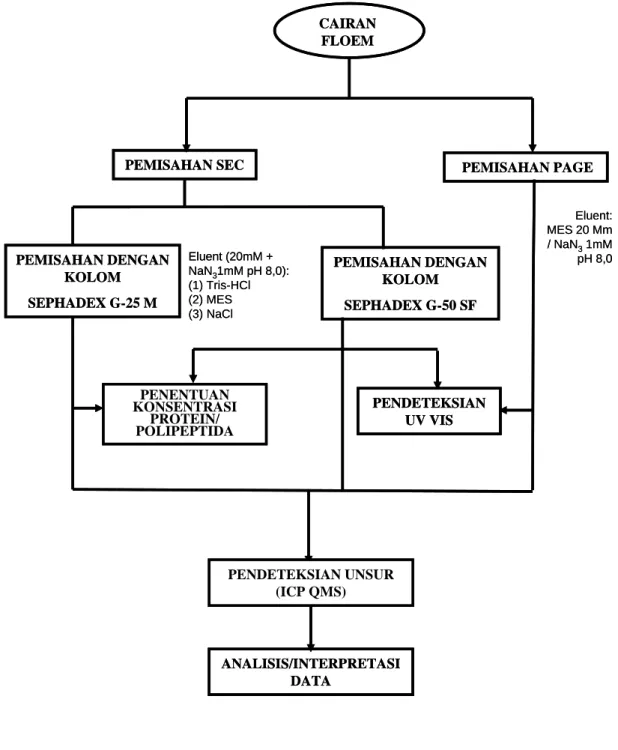 DIAGRAM ALIR PENELITIAN 