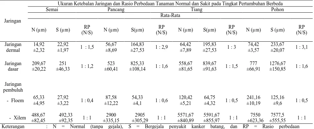 Tabel 2.   Ukuran Sel Setiap Lapisan Jaringan dan Rasio Perbedaan Tanaman Normal dan Sakit dari Batang Langsat    (L