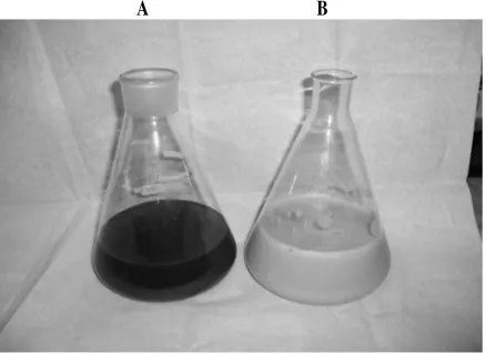 Gambar 1.  a) Produk Ekstrak Pollard b) Zn-fitat Hasil Reaksi  antara Ekstrak Pollard dan ZnCl2 