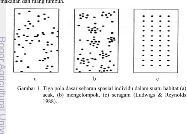 Gambar 1  Tiga pola dasar sebaran spasial individu dalam suatu habitat (a)  acak, (b) mengelompok, (c) seragam (Ludwigs &amp; Reynolds  1988)