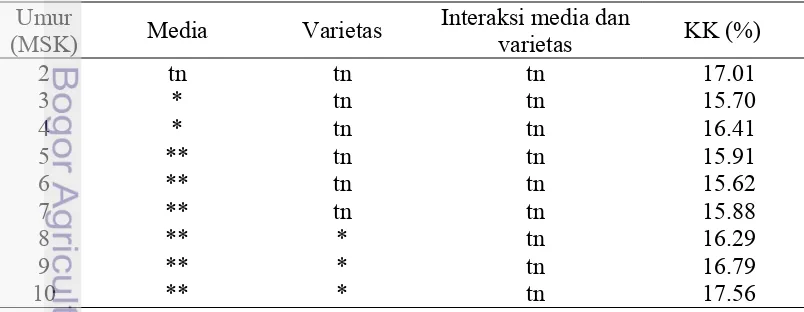 Tabel 5 Rekapitulasi analisis ragam pengaruh media dan varietas terhadap 