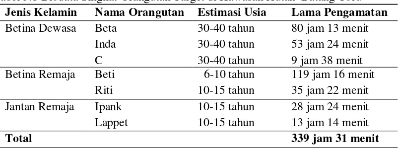 Tabel 3.1 Biodata Singkat Orangutan Target di Kawasan Hutan  Batang Toru  