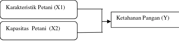 Gambar 2. Kerangka Konseptual Pengaruh Karakteristik dan Kapasitas Petani Terhadap Ketahanan Pangan 