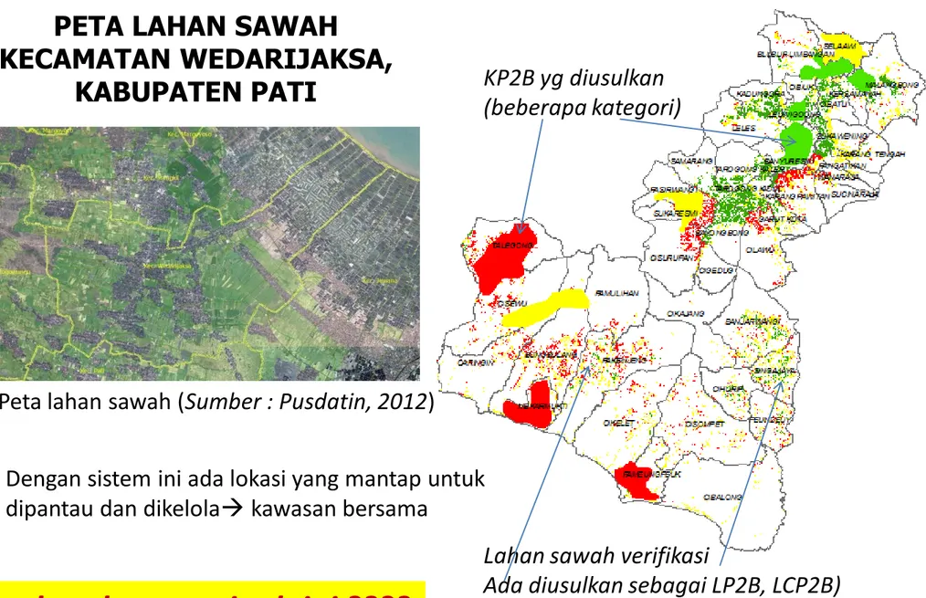 Ilustrasi lahan sawah, KP2B, LP2B, LCP2B - 2 