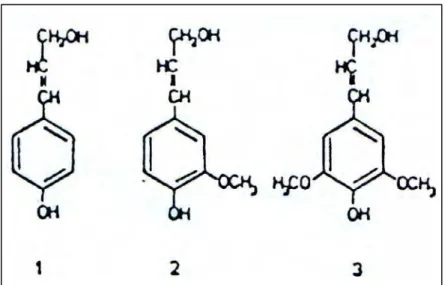 Gambar 1. Unit-unit penyusun lignin :