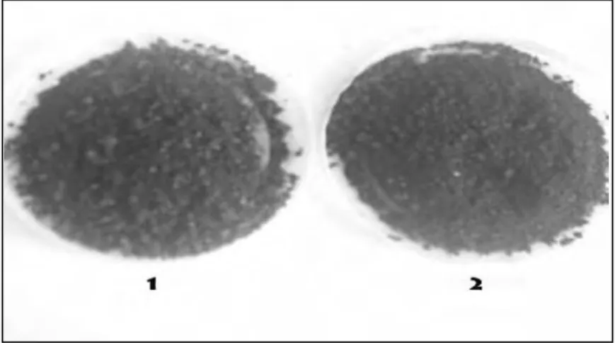 Gambar 8. Isolat lignin