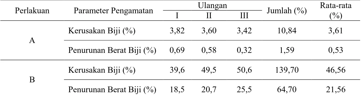 Tabel 3.  Rata-rata  Penurunan Berat Biji Kakao pada Perlakuan A dan B 