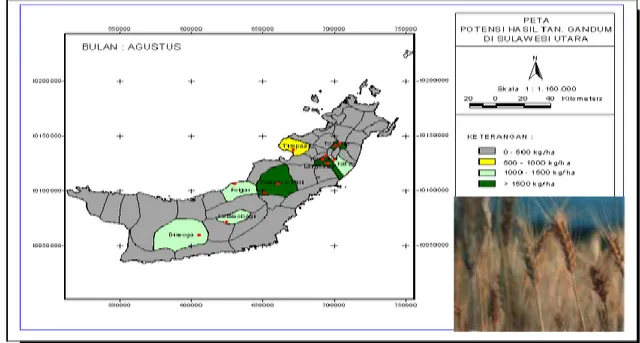 Gambar 2. Peta potensi hasil tanaman Gandum di Sulawesi Utara yang ditanam Bulan Agustus 