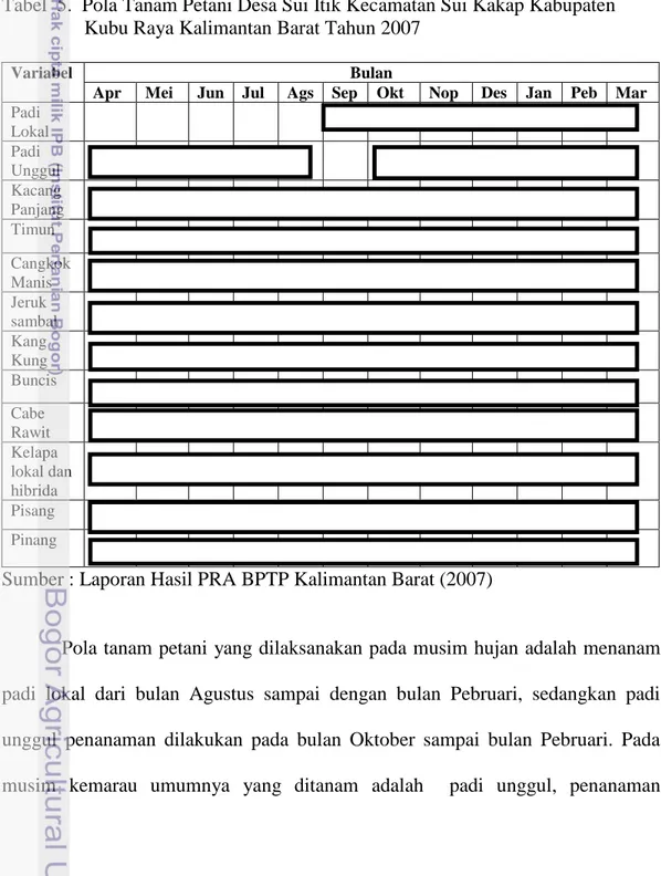 Tabel  5.  Pola Tanam Petani Desa Sui Itik Kecamatan Sui Kakap Kabupaten  Kubu Raya Kalimantan Barat Tahun 2007 