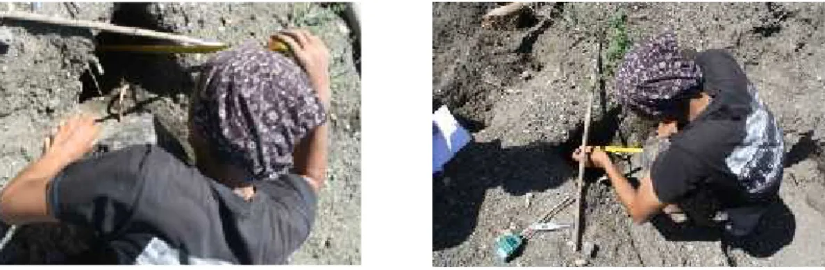 Gambar 5. Pengukuran  kedalaman (kiri) dan  lebar  sarang (kanan) pada  lubang bertelur burung maleo di Kecamatan Maligano (foto penelitian).