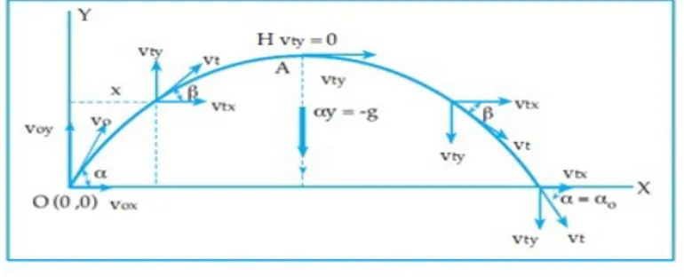Gambar 2.4: Gerak Peluru (Gerak Parabola)