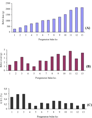 Gambar 8. Rata-rata bobot ikan (A), rata-rata bobot ovari (B) dan rata-rata GSI (C) ikan patin  hibrida selama 13 bulan pengamatan