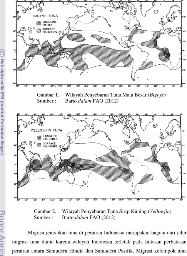 Gambar 1.   Wilayah Penyebaran Tuna Mata Besar (Bigeye)  Sumber :   Barto dalam FAO (2012) 