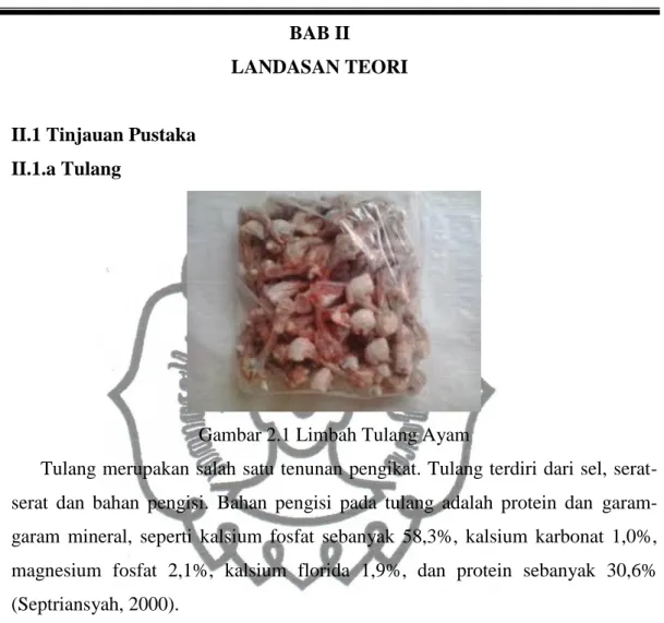 Gambar 2.1 Limbah Tulang Ayam 