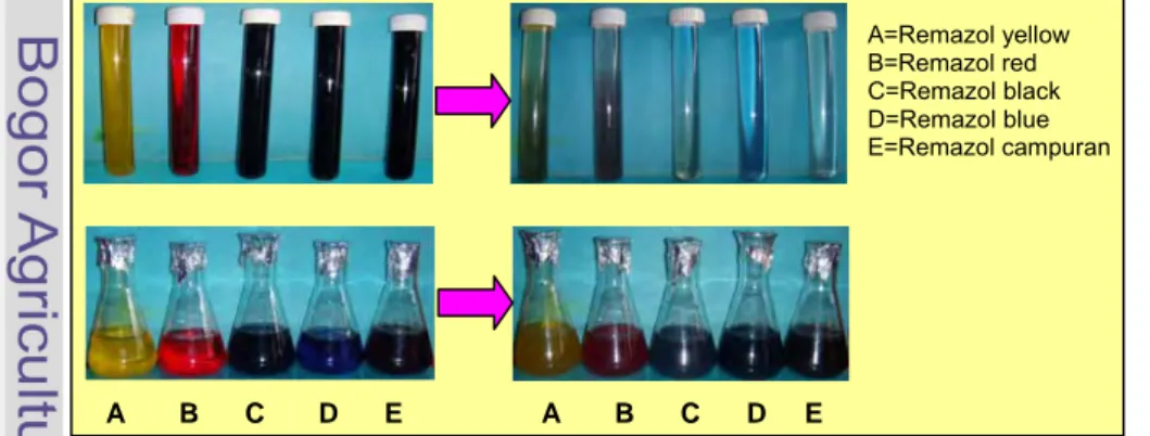 Gambar 22  Perombakan zat warna remazol pada kultivasi suspensi lumpur pada  kondisi anaerob (tabung ulir) dan aerob (erlenmeyer) selama 3 hari   A       B      C       D      E                  A       B      C      D     E A=Remazol yellow B=Remazol red C=Remazol black D=Remazol blue E=Remazol campuran 
