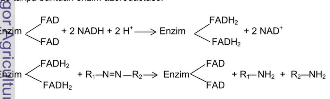 Gambar 27  Perombakan zat warna azo menggunakan mediator redoks 2[NAD(P)H + H+ ]                    2NAD(P) 