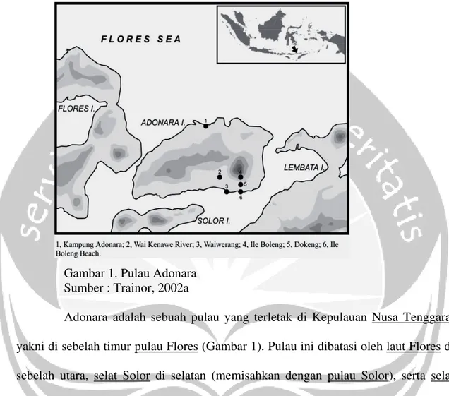 Gambar 1. Pulau Adonara  Sumber : Trainor, 2002a 